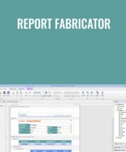 Report Fabricator - Lizard Labs