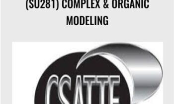 (SU281) Complex & Organic Modeling