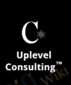 Uplevel Consulting