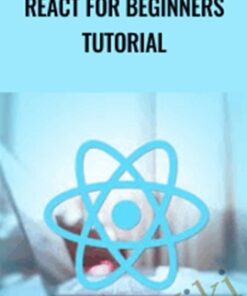 React for beginners tutorial - Sandy Ludosky