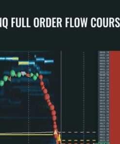 NQ Full Order Flow Course – Scott Pulcini Trader