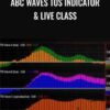 ABC Waves TOS Indicator & Live Class – Simpler Options