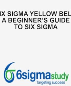 Six Sigma Yellow Belt: A Beginner’s Guide to Six Sigma