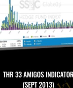 THr 33 Amigos Indicator (Sept 2013)