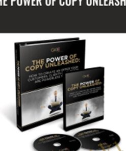 The Power Of Copy Unleashed – Dave Dee