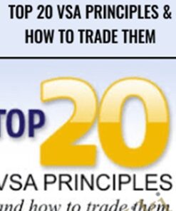 Top 20 VSA Principles & How to Trade Them - TradeGuider