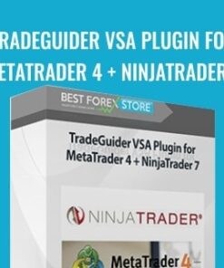 Tradeguider VSA Plugin For Metatrader 4 + Ninjatrader 7 - Ninjatrader
