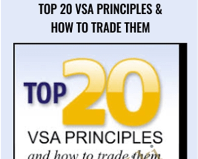 Top 20 VSA Principles & How to Trade Them - TradeGuider