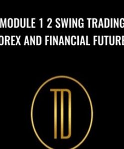 Module 1 2 Swing Trading Forex and Financial Futures - Trader Dante