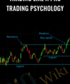 Trading Like a Pro – Trading Psychology – Tradimo