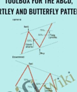 Trading Live Online Traders Toolbox For The Abcd, Gartley And Butterfly Patterns - Trading Live Online