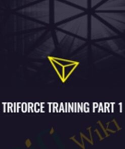 Triforce Training Part 1