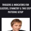Triggers & Indicators for Clusters, Symmetry & Two Steps Patterns Setup - Carolyn Boroden