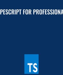 TypeScript for Professionals - Basarat Ali Syed