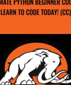 Ultimate Python Beginner Course. Learn to code today! (CC) - Mammoth Interactive