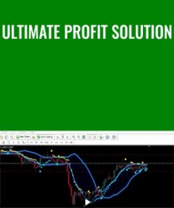 Ultimate profit solution – Toshko Raychev