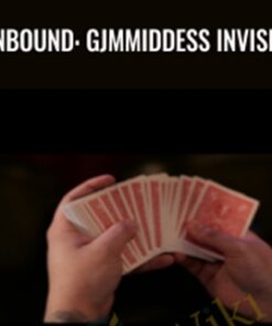 Unbound: GJmmiddess Invisible - Darryl Davis