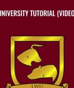 University Tutorial - Larry Williams