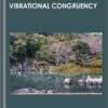 Vibrational Congruency - Lynn Waldrop