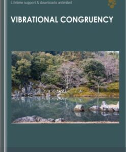 Vibrational Congruency - Lynn Waldrop