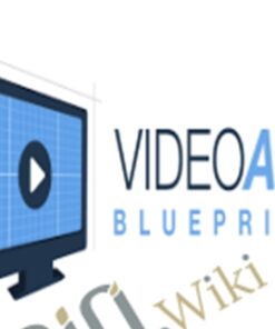 Video Ad Blueprint – Ben Adkins