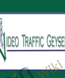 Video Traffic Geyser – Justin Sardi, Zane Miller