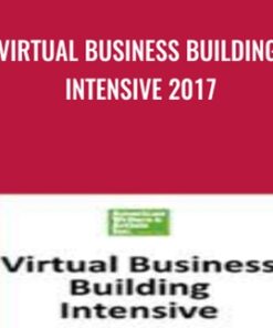 Virtual Business Building Intensive 2017