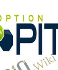 Volatility Master Class – Optionpit