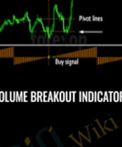 Volume Breakout Indicator