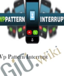 WP Pattern Interrupt - danlew, Zbigniew Klej