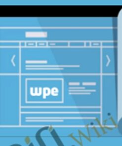 WPE Blueprint Course – Troy Dean