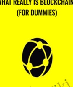 What Really is Blockchain? (For Dummies) - Saad Tariq Hameed