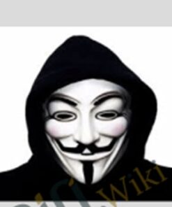 Whitehat Backlinking – Mr X