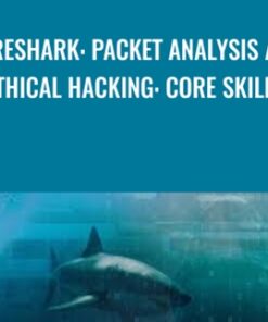 Wireshark: Packet Analysis and Ethical Hacking: Core Skills - David Bombal
