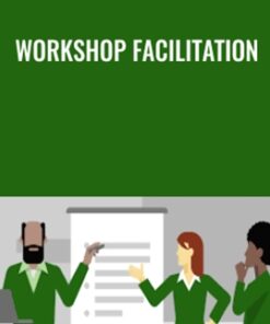 Workshop Facilitation - Britt Andreatta