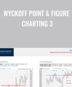 Wyckoff Point & Figure Charting 3 - Bruce Fraser & Roman Bogomazov