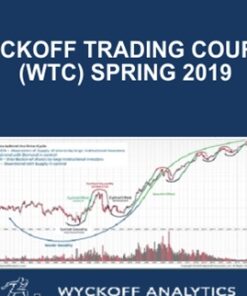 Wyckoff Trading Course (WTC) Spring 2019 - Wyckoff Analytics