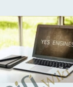 Yes Engines - Derek Halpern