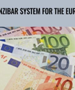 Zanzibar System for the Euro Fx - Joe Ross