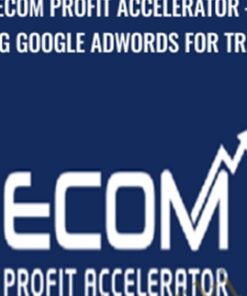 Using Google Adwords for Traffic - eCom Profit Accelerator