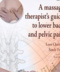 A massage therapist's guide to lower back and pelvic pain - Sandy Fritz