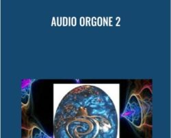 Audio Orgone 2