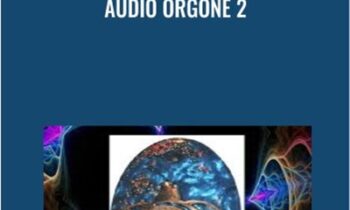 Audio Orgone 2