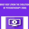 Brief REBT (from the Evolution of Psychotherapy 2000) - Albert Ellis