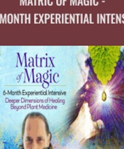 Matric of Magic - 6 - Month Experiential Intensive - David Crow
