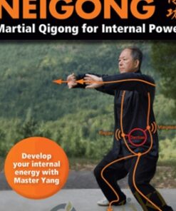 Neigong - Martial Qigong for Internal Power - Yang Jwing-Ming