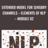 Extended Model for Sensory Channels – Elements of NLP – Module 02 - Chris Mulzer