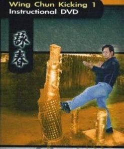 Wing Chun Kicking - Gary Lam