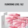 Flowering level 1& 2 - Holosync