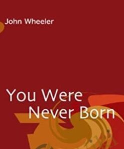 You Were Never Born - John Wheeler